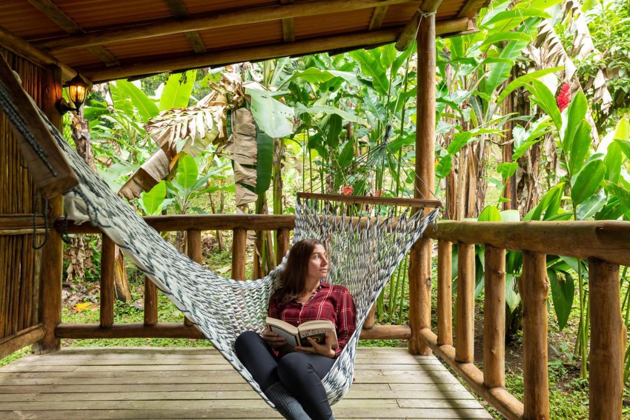 Rancho Margot Sustainable&Self Sufficient Eco Lodge El Castillo Exterior foto