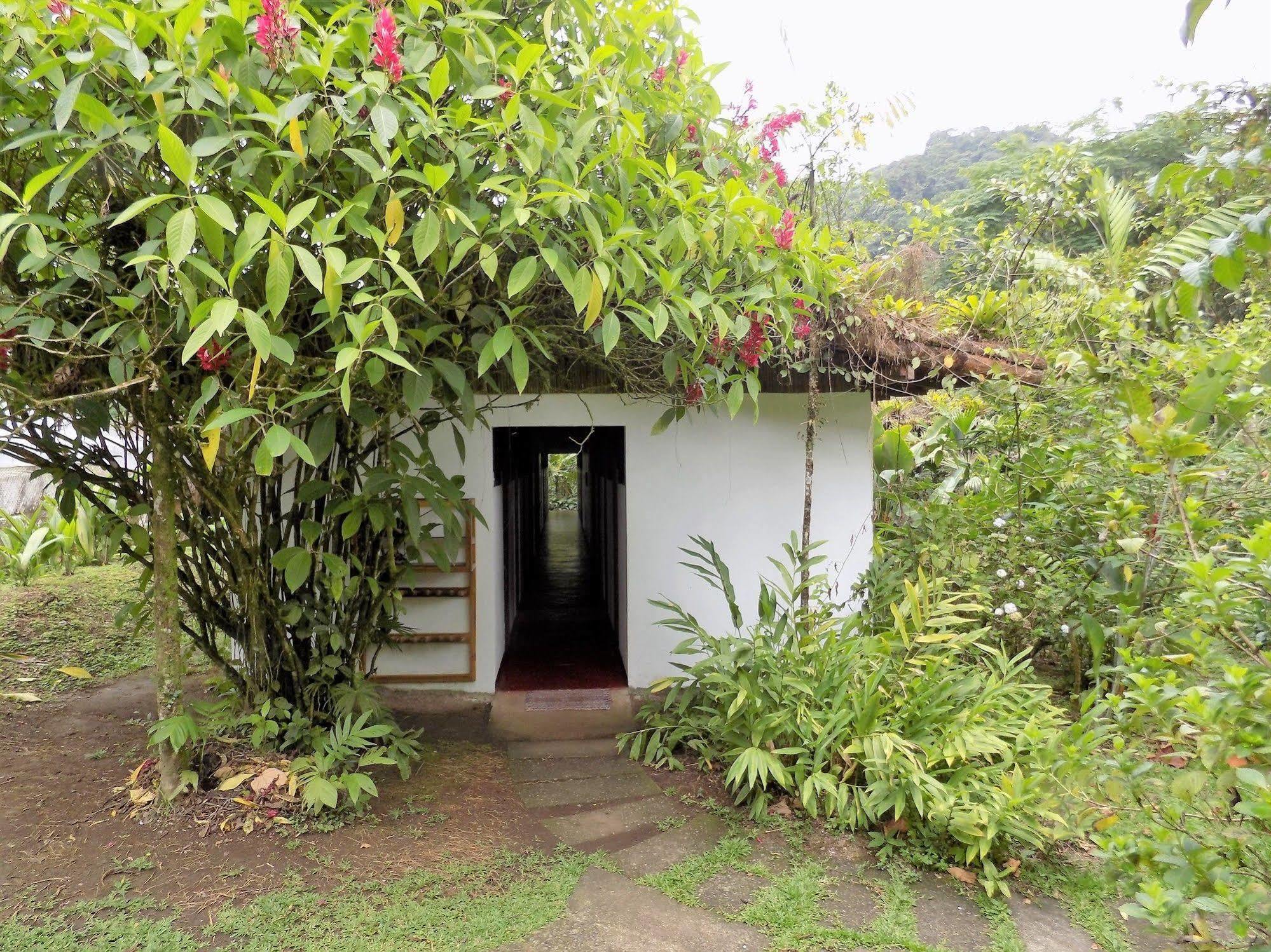 Rancho Margot Sustainable&Self Sufficient Eco Lodge El Castillo Exterior foto