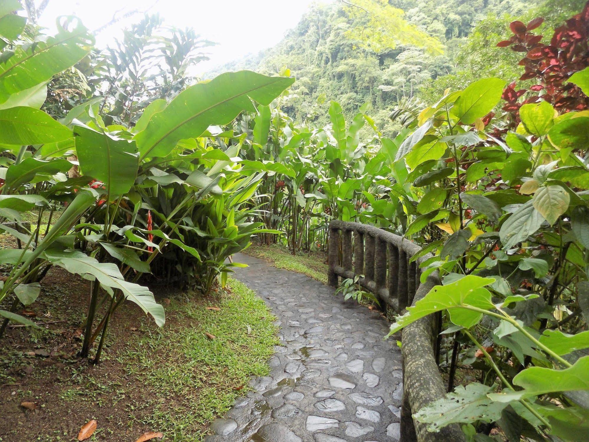 Rancho Margot Sustainable&Self Sufficient Eco Lodge El Castillo Exterior foto